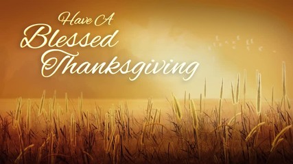 Blessed Thanksgiving Harvest Fields 4K Loop features a wheat field in the foreground with moving clouds in the back and an animated Thanksgiving message 