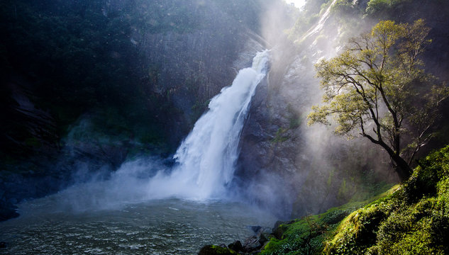 Fototapeta Dunhinda Falls is a waterfall located about 5 kilometres from Badulla town in Sri Lanka.The Dunhinda Falls is one of Sri Lanka's most beautiful waterfalls