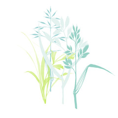 spring colorful grass on hand drawn sketch style on white background. Raster design element for cards, decoration and patterns.