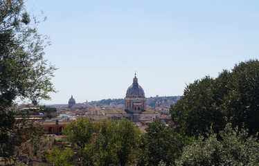 Fototapeta na wymiar Rome's roofs, view from Villa Borghese
