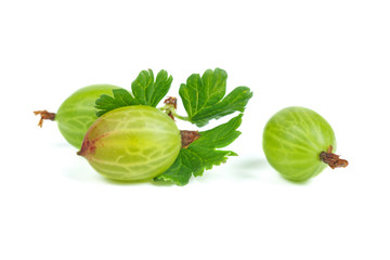 Fresh green gooseberries isolated on white