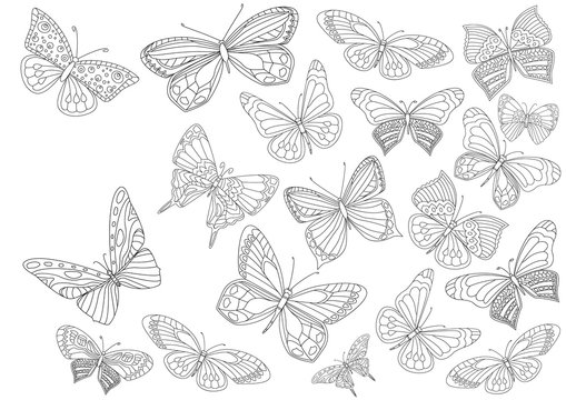 fancy collection of flying butterflies for your coloring page