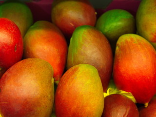 Fototapeta na wymiar mango fruit