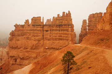 Landscape of Bryce canyon National Park, Utah, USA