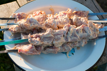 Grilled kebab cooking on metal skewer. Traditional eastern dish, shish kebab. Grill on charcoal and flame, picnic, street food