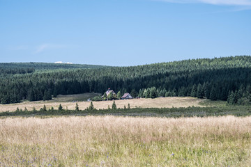 Na szlaku góry Izerskie, dolnośląskie, Polska , Europa © Piotr Czerkawski