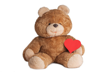 big teddy bear isolated on white background