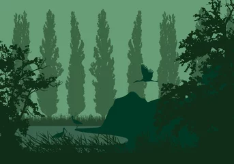Photo sur Aluminium Olive verte Illustration réaliste d& 39 un paysage de zone humide avec un lac ou une rivière, des roseaux et des peupliers sur le rivage. Trois cigognes sous un ciel vert, vecteur