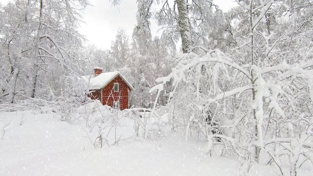A red cottage in the forest in full winter weather