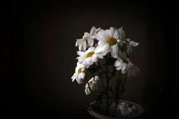 white flowers in vase on black background