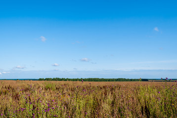 Agricultural plains of Ryazan Oblast