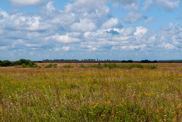 Agricultural plains of Ryazan Oblast