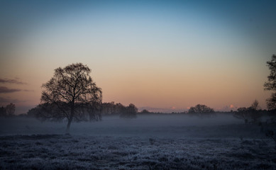 Early morning foggy frozen landscape