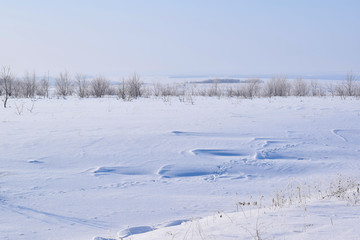Beautiful winter landscape.Frosty Sunny day.Scenic view.