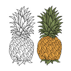 colorful pineapples set