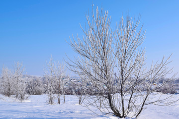 Beautiful winter landscape.Frosty Sunny day.Scenic view.