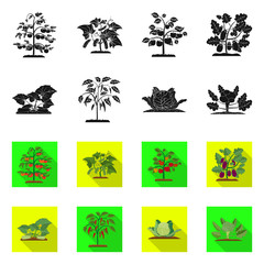 Obraz na płótnie Canvas Isolated object of greenhouse and plant icon. Set of greenhouse and garden stock vector illustration.