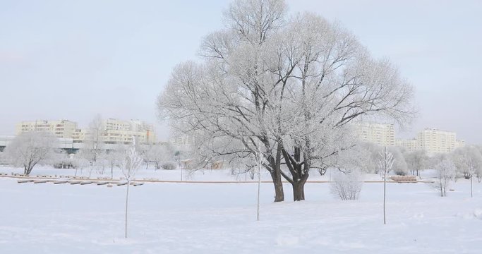 Snow-covered city park