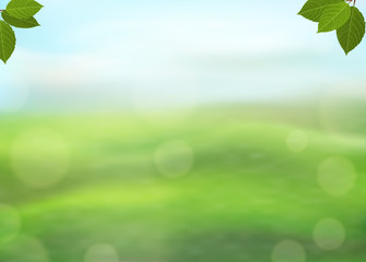 Fototapeta na wymiar Nature green background with leaves on a blurred background of grass and sky and bokeh effect. View with copy space add text. Vector