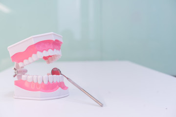 close up teeth model denture for explain to patient , dental health concept	 	