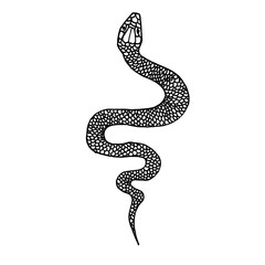 Hand drawn snake illustration in doodle style. Design element for poster, card, t shirt.