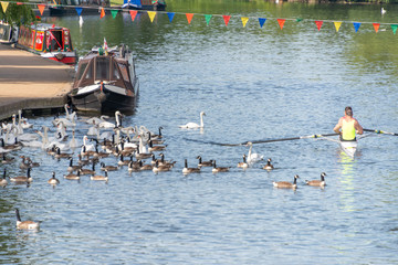 rowers crossing the finishing line at regatta