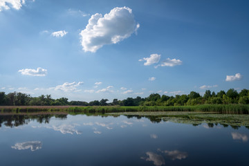 A pond in summer, Khmelnytskyi region, Ukraine