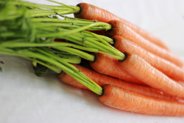 Frische Möhren