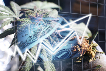 Cannabis Industry Stocks Soaring High Quality 