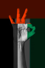 Hand making Ok sign, United arab emirates flag painted as symbol of best quality, positivity and success - isolated on flag background