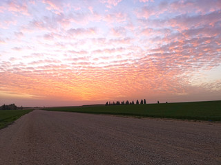 Obraz premium Sunset on the field