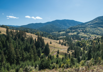 Fototapeta premium Summer landscape in Transilvania, Romania. Distant mountain range and thin layer of fog on the valleys. Coniferous forest on hillsides in the Eastern Carpathians.