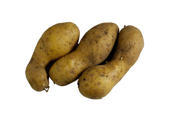 Potato isolated on white