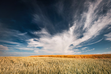 Agriculture Lanscape with Beautiful Clouds