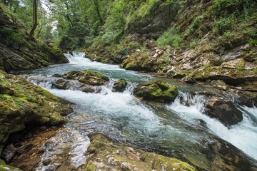 Vintgar gorge, river and wood path, near Bled lake, Slovenia