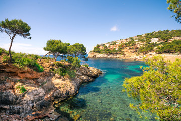 Fototapeta na wymiar Beautiful cliffs and clear blue green water in bay Cala Marmassen Mallorca Spain
