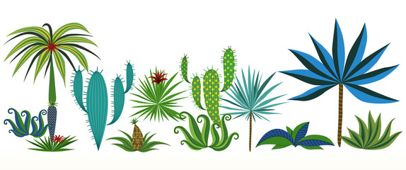 Fototapeta na wymiar Set of different tropical plants. Vector illustration.