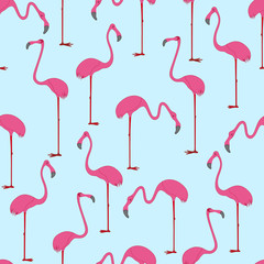 Seamless pattern with hand drawn flamingo. Vector Illustration.