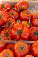 Vegetables of South France, farmers organic ripe tomatoes in assortment on local market in Provence