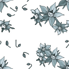 Abstract floral seamless pattern with composition from hand drawn grey flowers and buds borage on white background. Monochrome botanical textile design. Cover endless texture. Vector illustration