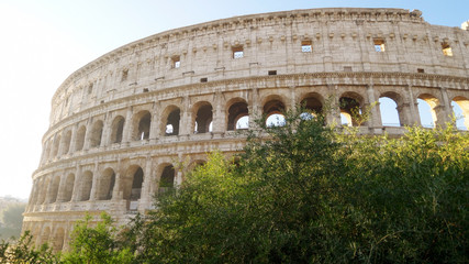 Fototapeta premium Roman Colosseum early morning in Rome, Italy