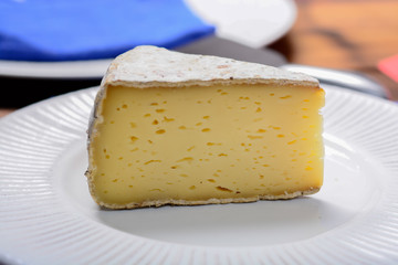 Piece of French Tomme cheese, produced in French Alps and in Switzerland close up