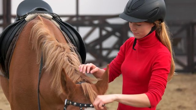 Young pretty woman preparing horse for riding. Young girl rider adjusting horse bridle outdoors.
