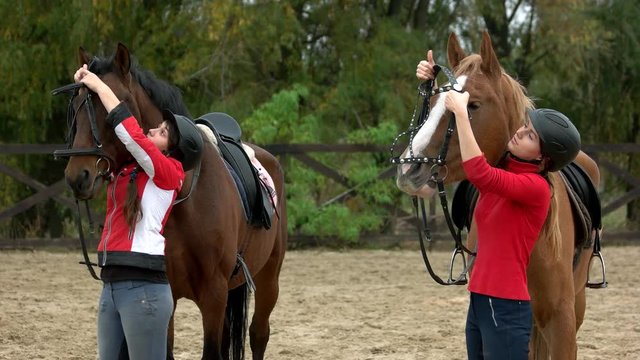 Two women preparing horses for riding at farm. Young girl putting on bridle before riding her horse outdoors. Equestrian sport concept.