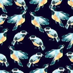 Watercolor tit birds illustration. Hand painted seamless pattern. Wild animals.