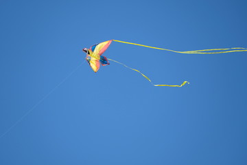 Kite