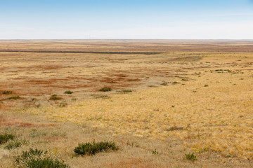 Fototapeta na wymiar beautiful landscape of the Gobi desert, Mongolia