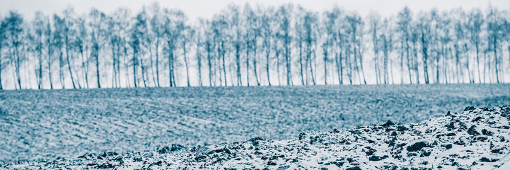 Silhouettes of trees and plowed field covered by snow.  Web banner.