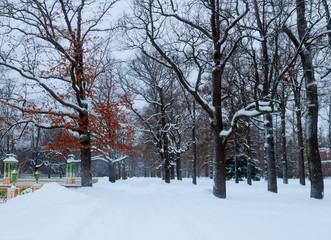 Winter snowy landscape. Snow-covered alley with trees on the sides in the park on a frosty day. Winter walk in the garden.