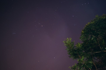 Estrellas con árbol en el cielo